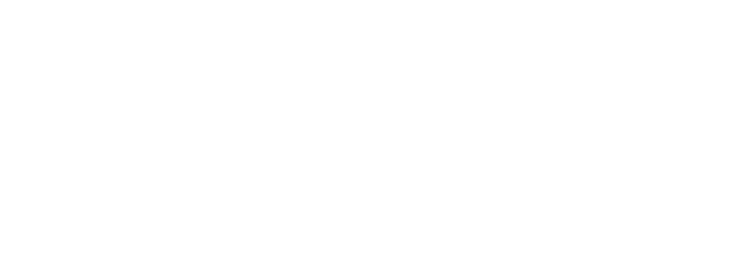 Logo-cesky-volejbal